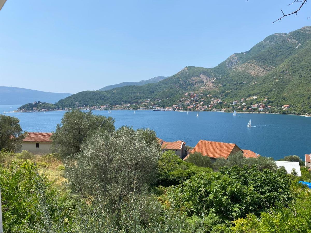 Apartman Irena Tivat Luaran gambar